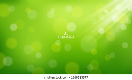 Beautiful Nature Background, Bokeh effect background