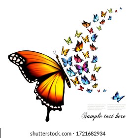 Beautiful nature background with colorful butterflies. Vector.