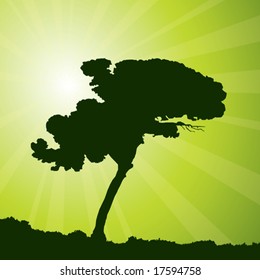 beautiful nature background, vector illustration