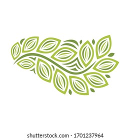 Beautiful nature decorative element of green leaves. Vector illustration