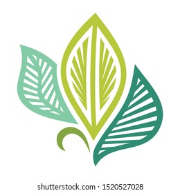 Beautiful nature decorative element of leaves. Vector illustration