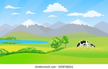 Beautiful nature landscape with snowy peak mountain and meadow fields. Black and white cows on grass.