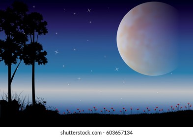 Beautiful nature at night, Vector illustrations