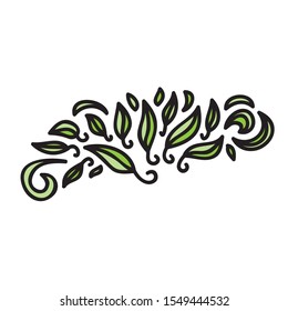 Beautiful nature pattern of leaves. Vector illustration