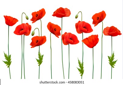 Beautiful nature poppy background. Vector.