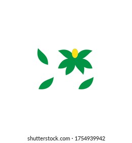 Beautiful nature scene solated background white, green leaf