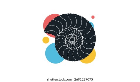 The beautiful nautilus shell with colorful circles in the background.