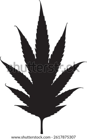 A beautiful neem leaf design with white background
