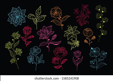 Beautiful neon hand drawn floral vector collection