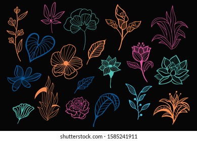 Beautiful neon hand drawn floral vector collection