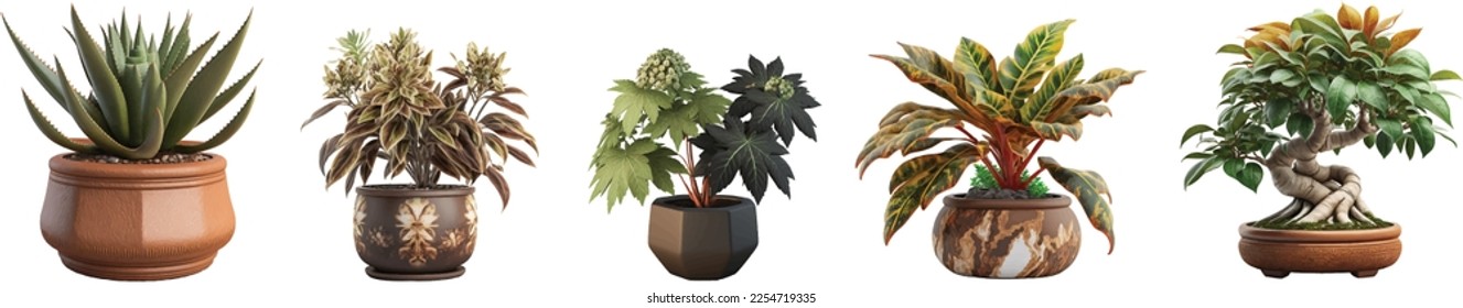 Beautiful new vector set of plants in ceramic pots isolated on transparent background.
