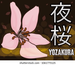 Beautiful night of Hanami Festival (or Yozakura: "night sakura", written in Japanese) with a delicate cherry flower over petals shower and bokeh lights in the background.