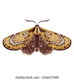Beautiful Night Moth. Cartoon Vector Graphics.
