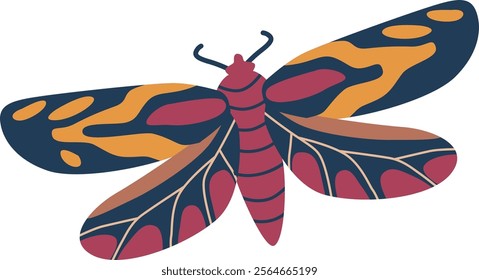 Beautiful night moth vector illustration