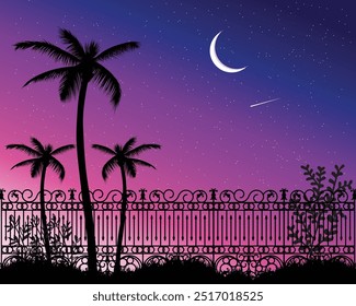 Beautiful night sky illustration with crescent moon Vector