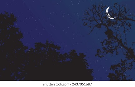 Beautiful night sky landscape in forest with moon and stars
