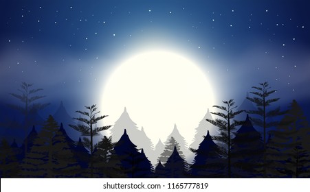 beautiful night sky scene illustration