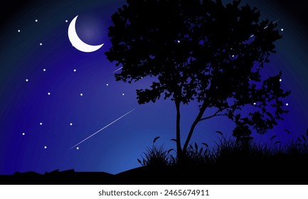 beautiful night sky with tree silhouette