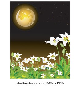 Beautiful Night View With White Ivy Flower And Full Moon Cartoon