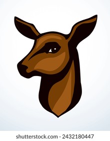 Beautiful noble deer. Vector drawing