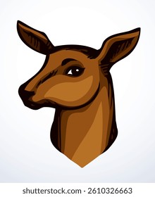 Beautiful noble deer. Vector drawing