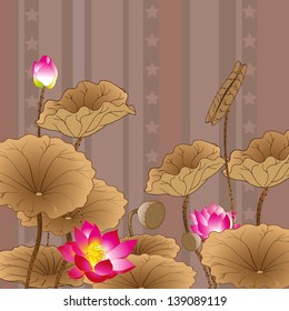 Beautiful and noble lotus background