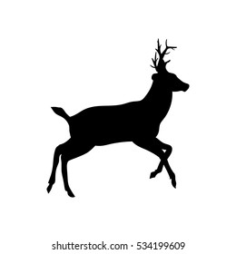Beautiful noble proud sika deer are ruminant mammal in family Cervidae  Side view  Dark ink hand drawn picture sketchy in art retro style pen paper and space for text