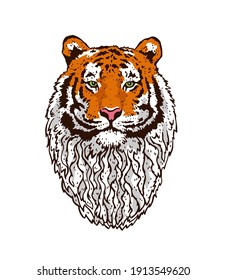 Beautiful noble tiger with a bushy beard. Tiger head. The symbol of the new 2022. Vector illustration isolated on white background.