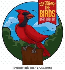 Beautiful northern cardinal posed in a branch, over round button with forest view and reminder ribbon to celebrate Bird Day.
