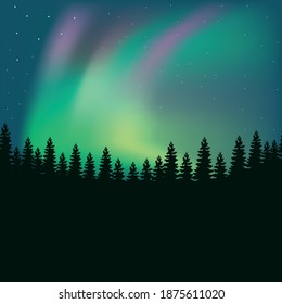 Beautiful northern lights in the forest
