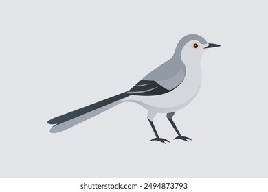 Beautiful Northern Mocking bird vector artwork