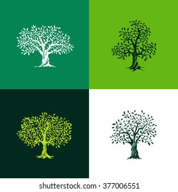 Beautiful oak and olive trees silhouette set on green background. Infographic modern isolated vector sign. Premium quality illustration logo design concept.