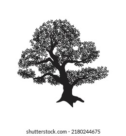 beautiful old tree, vector artwork