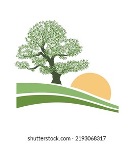 beautiful old tree, vector artwork