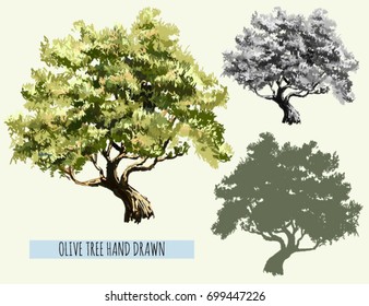 Beautiful olive trees silhouette icon set isolated on white background. Vector illustration.