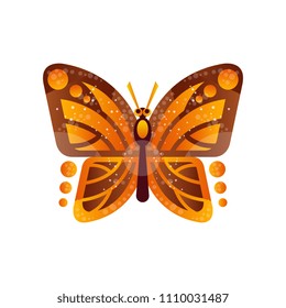 Beautiful orange and brown butterfly vector Illustration isolated on a white background