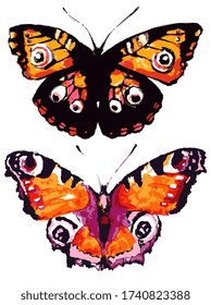 beautiful orange butterflies, isolated  on a white