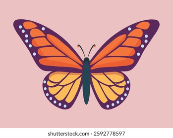 beautiful orange butterfly insect vector illustration