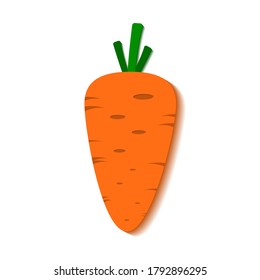 Beautiful orange carrot on a white background, sign for design, vector illustration