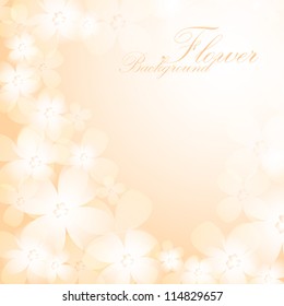 Beautiful orange flower background. EPS10 vector.
