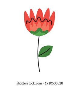 beautiful orange flower and leafs garden decoration vector illustration design