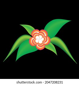 beautiful orange flower, beautiful yellowish shark leaves, black background