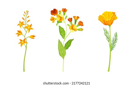 Hermosas flores de naranja y flores en el conjunto vectorial