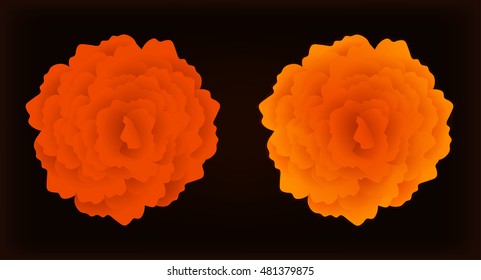 Beautiful Orange  flowers set.Isolated on black background.Vector illustration.