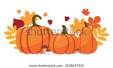 Beautiful orange pumpkins. Pumpkin day. Festival, pumpkin holiday. Autumn. Vector illustration