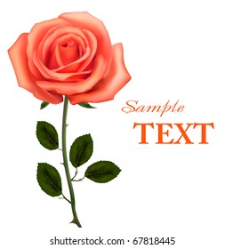 Beautiful orange rose with leaves isolated on white. Vector illustration