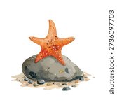 Beautiful orange starfish perched on a textured grey rock, evoking summer beach vibes. Ideal for marine life, travel, and vacation concepts.