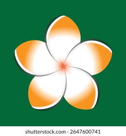 Beautiful orange and white blooms with five petals
