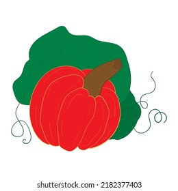 Beautiful orange-red bright pumpkin with large green leaves and tendrils. Autumn ripe vegetable. Vector illustration isolated on white background. Halloween holiday symbol.