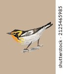 Beautiful orange-throated warbler, torch bird hand drawn in vector and isolated on a craft background. Imitation of a pencil color sketch in a realistic style,a page from a bird-watching sketchbook.